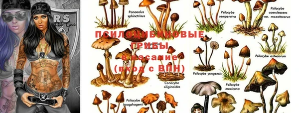 таблы Новокубанск